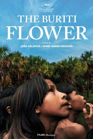 The Buriti Flower's poster