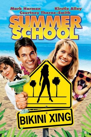 Summer School's poster image