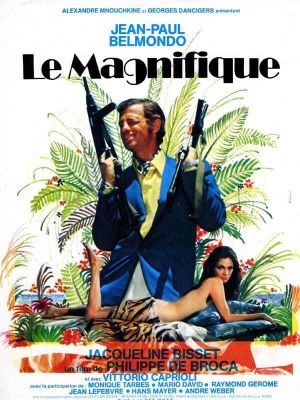 Le Magnifique's poster