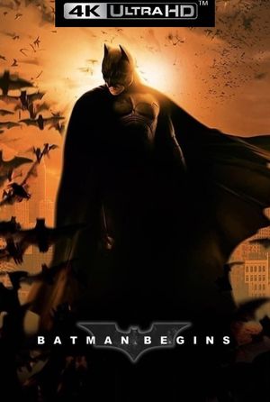 Batman Begins's poster