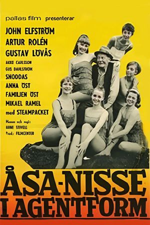 Åsa-Nisse i agentform's poster