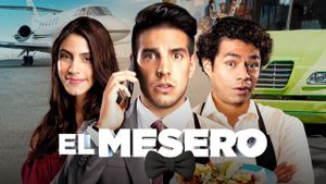 The Waiter's poster