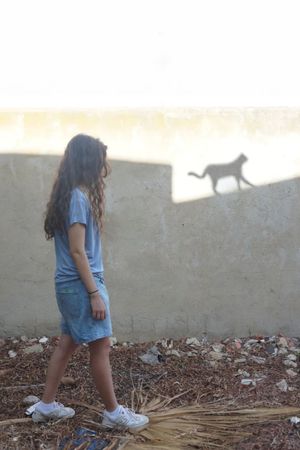 Le chat et le laurier's poster