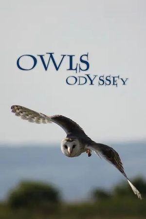 Owl's Odyssey's poster