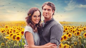 Love Stories in Sunflower Valley's poster