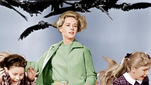 The Birds's poster