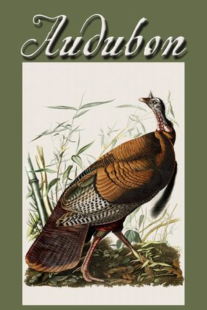 Audubon's poster