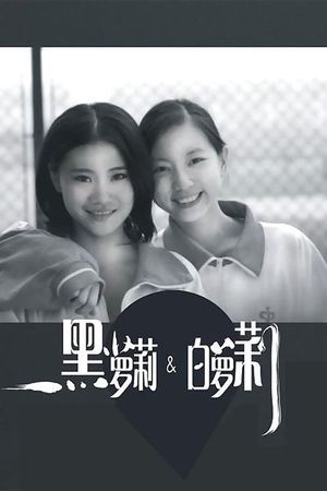 Hei Luo Li he Bai Luo Li's poster