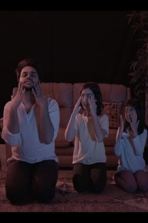 Video Home System's poster image