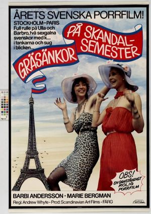 Crazy Swedish Holidays in Paris's poster