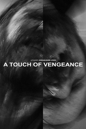 A Touch of Vengeance's poster