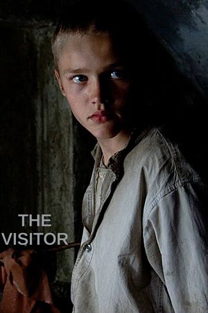 The Visitor's poster