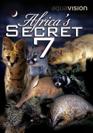 Africa's Secret Seven's poster