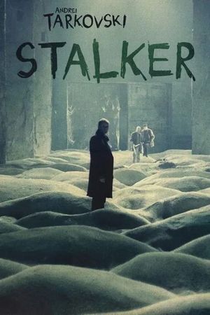 Stalker's poster