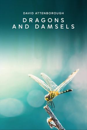 Dragons and Damsels's poster