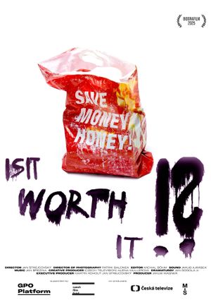 Is it Worth It?!'s poster