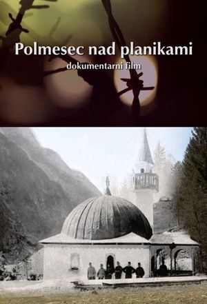 Polmesec nad planikami's poster