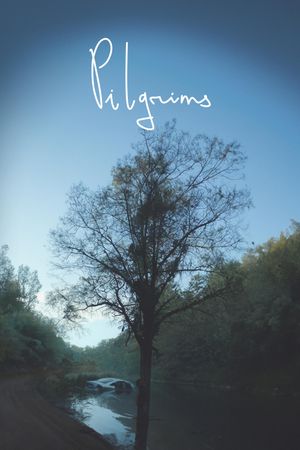 Pilgrims's poster
