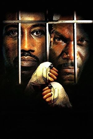 Undisputed's poster