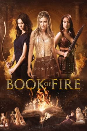 Book of Fire's poster