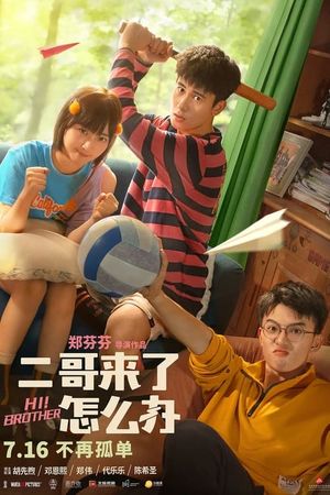 Hi Brothers's poster