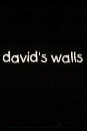 David's Walls's poster