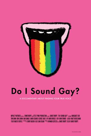 Do I Sound Gay?'s poster