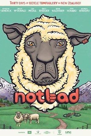 Not Bad's poster image