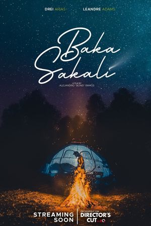 Baka sakali's poster