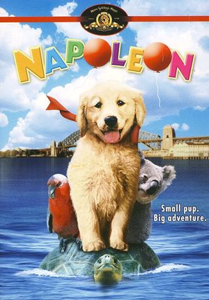 Napoleon's poster