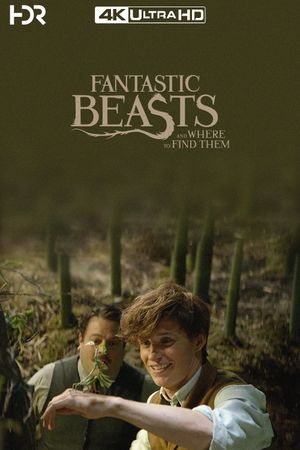 Fantastic Beasts and Where to Find Them's poster