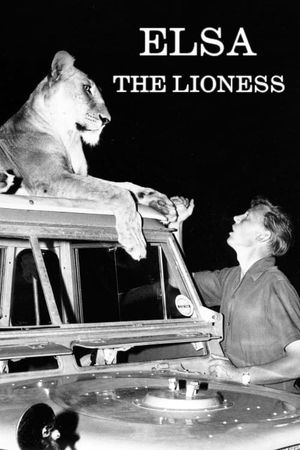 Elsa the Lioness's poster