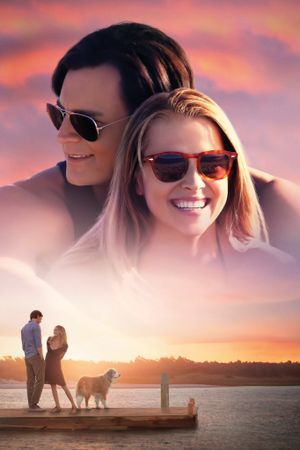 The Choice's poster