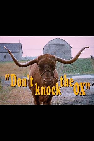 Don't Knock the Ox's poster