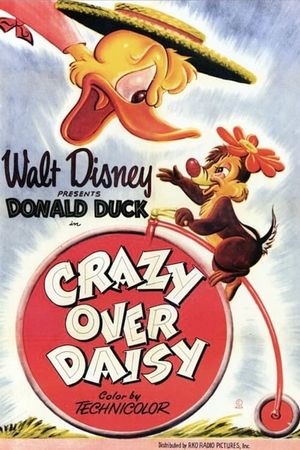 Crazy Over Daisy's poster image