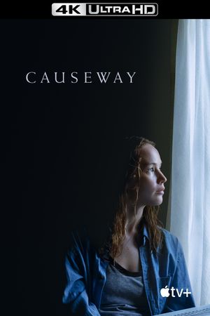 Causeway's poster