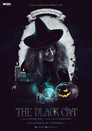 The Black Cat's poster
