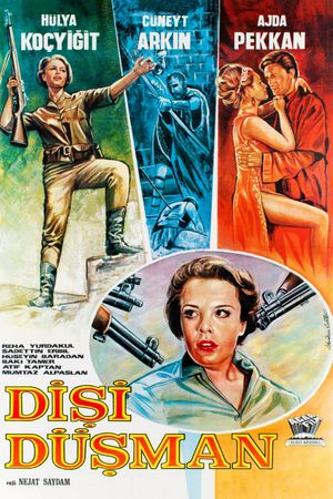 Dişi Düşman's poster