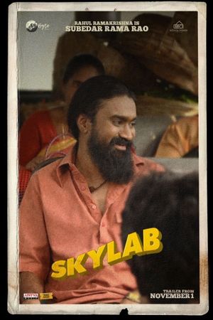 Skylab's poster