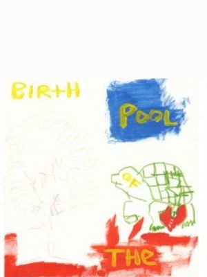 Birth of the Pool's poster