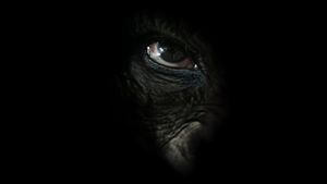 Rise of the Warrior Apes's poster