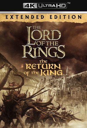 The Lord of the Rings: The Return of the King's poster