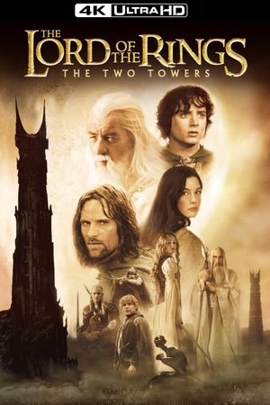 The Lord of the Rings: The Two Towers's poster