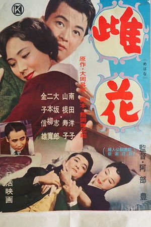 Mebana's poster