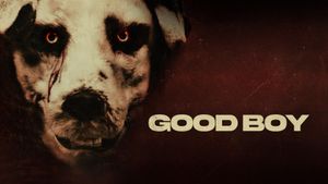 Good Boy's poster