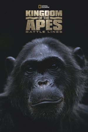 Kingdom of the Apes: Battle Lines's poster
