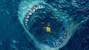 The Meg's poster