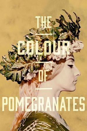 The Color of Pomegranates's poster