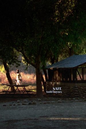 Safe's poster