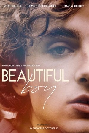 Beautiful Boy's poster